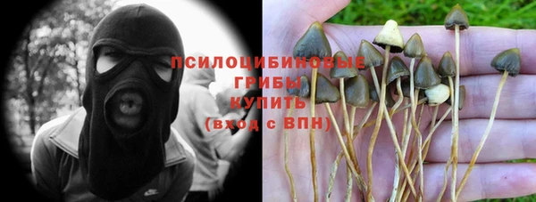 каннабис Коряжма