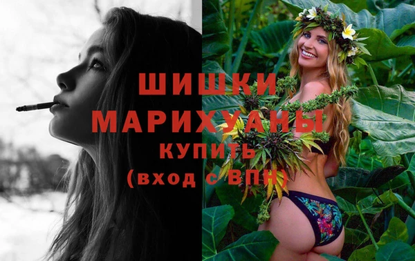 гашик Корсаков
