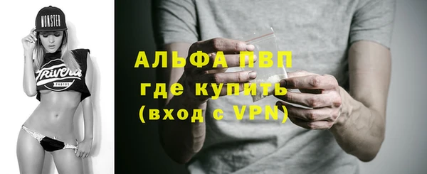 гашик Корсаков