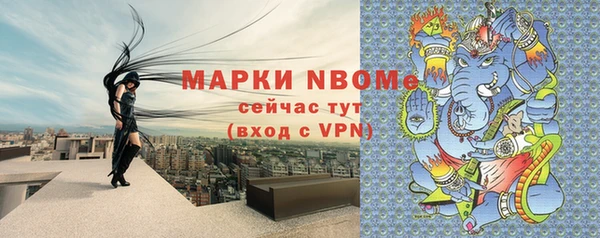 гашик Корсаков