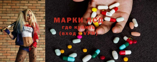 гашик Корсаков