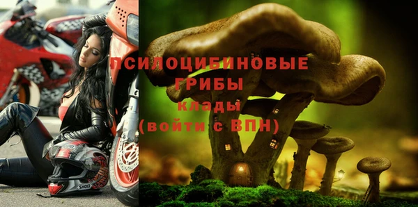 метадон Костерёво