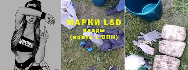 каннабис Коряжма