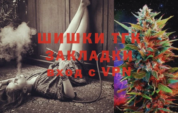 гашик Корсаков