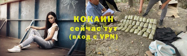 гашик Корсаков