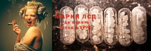 гашик Корсаков